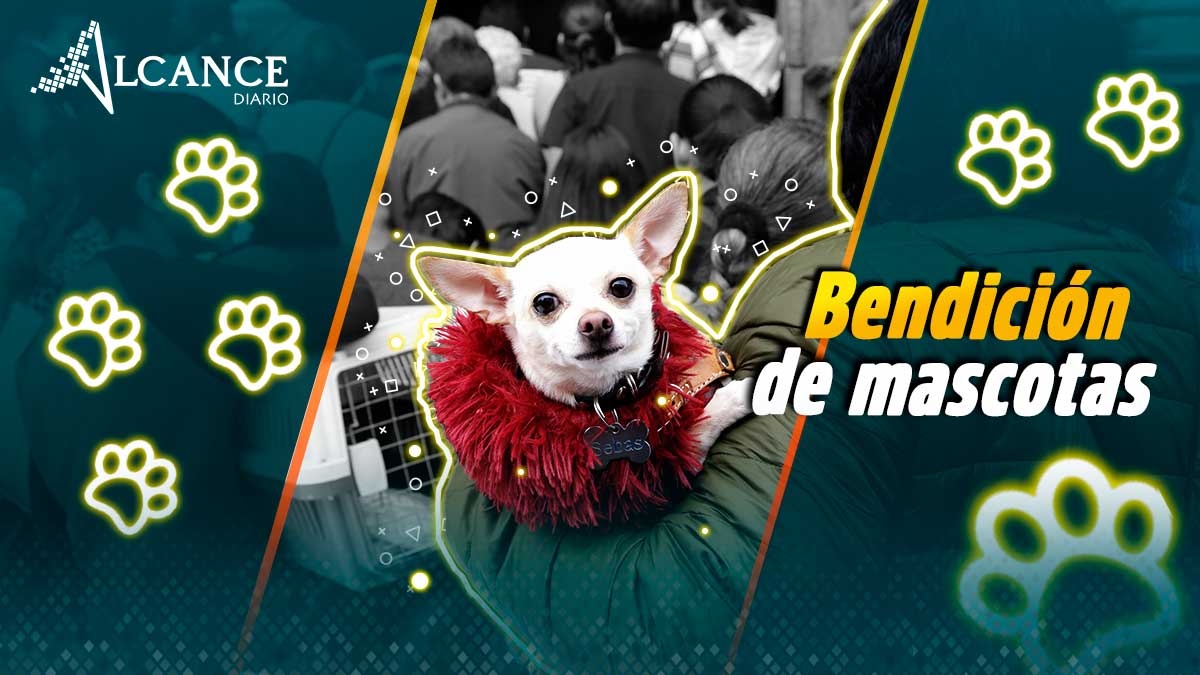 Aquí pueden recibir la bendición tus mascotas
