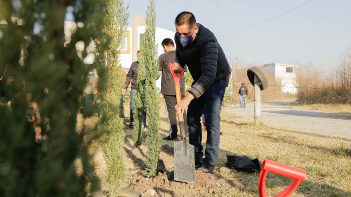 Jornada de Reforestación en San Rafael Comac