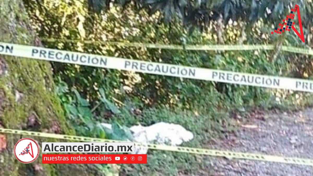 Niña de 10 años en Zoquitlán, Puebla