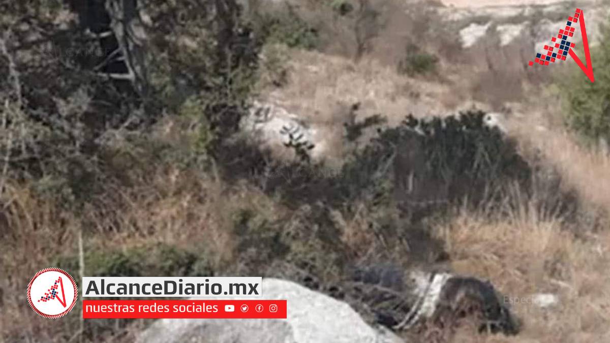 cadáver en tepeaca