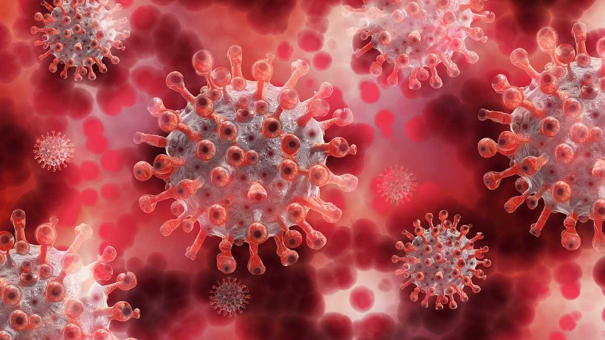 coronavirus variante omicron