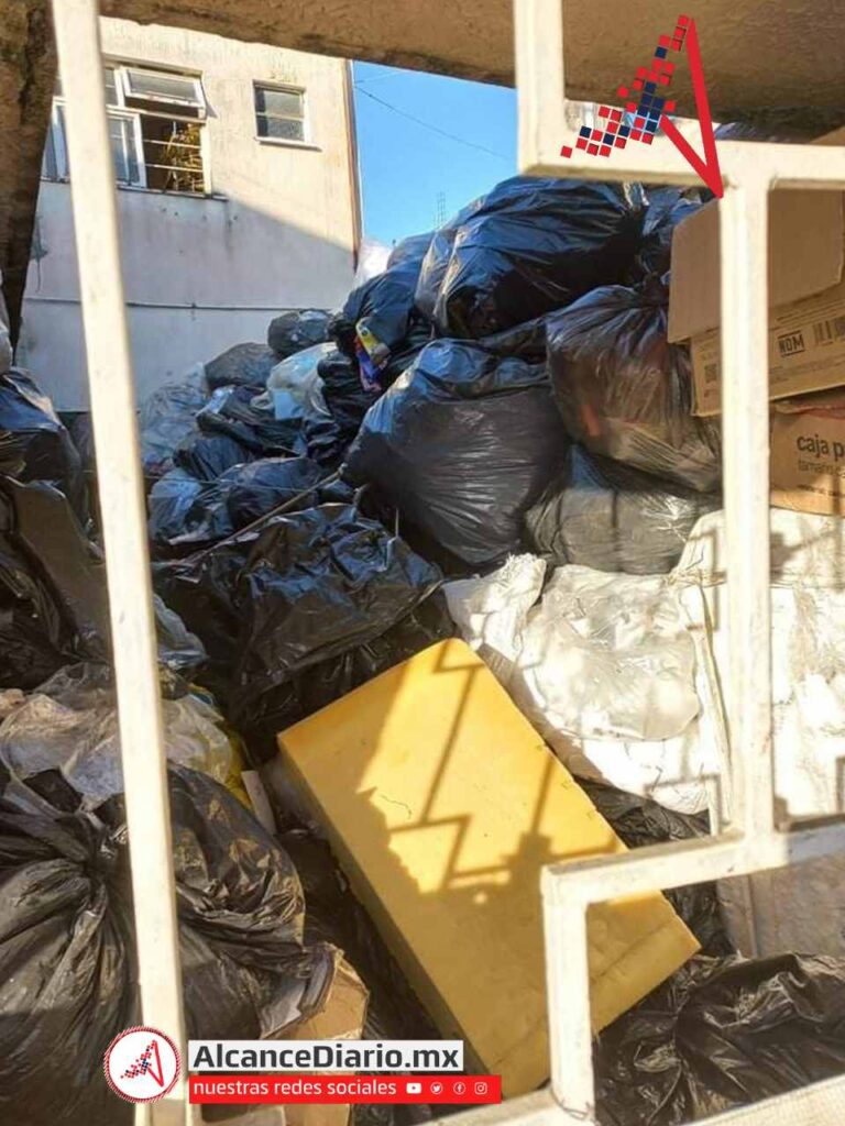 Basura Resurgimiento
