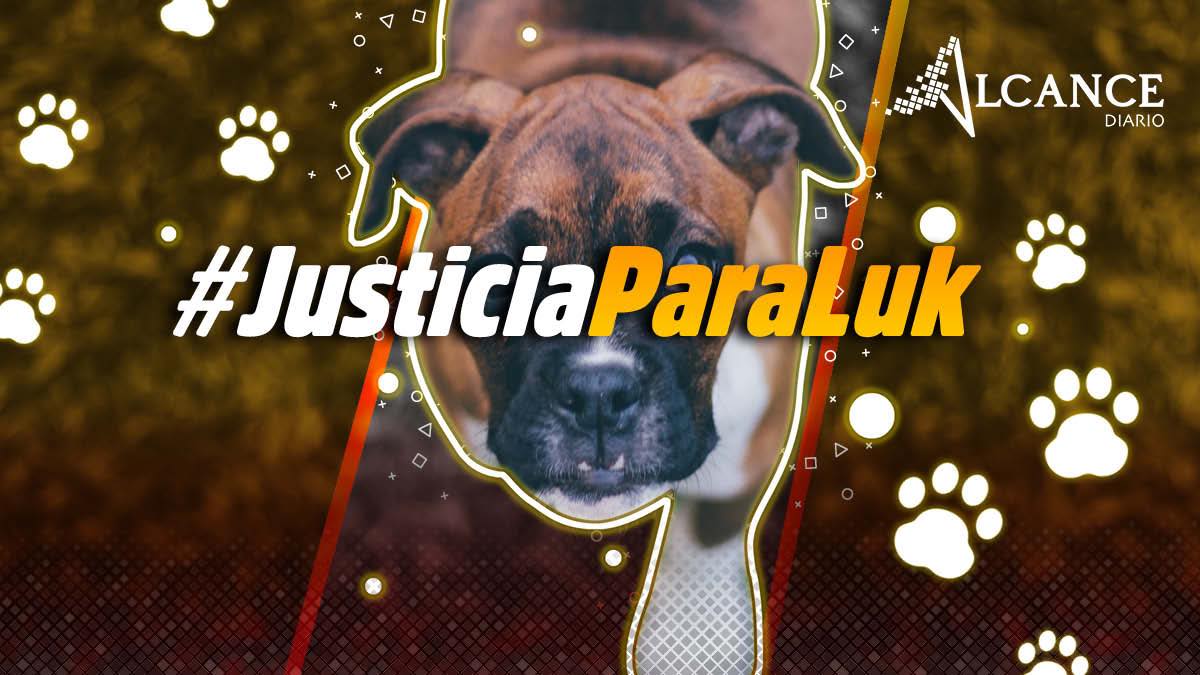 Perrito ejecutado