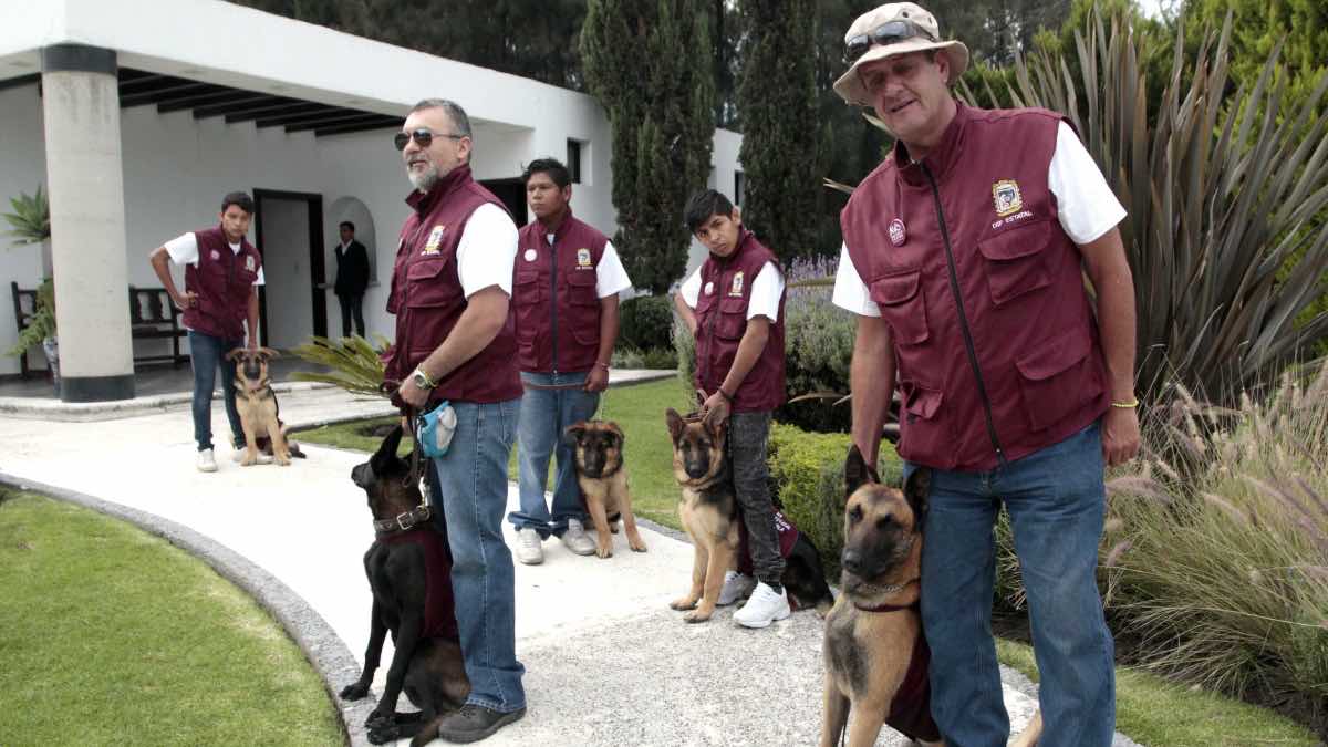 Paseadores de perros