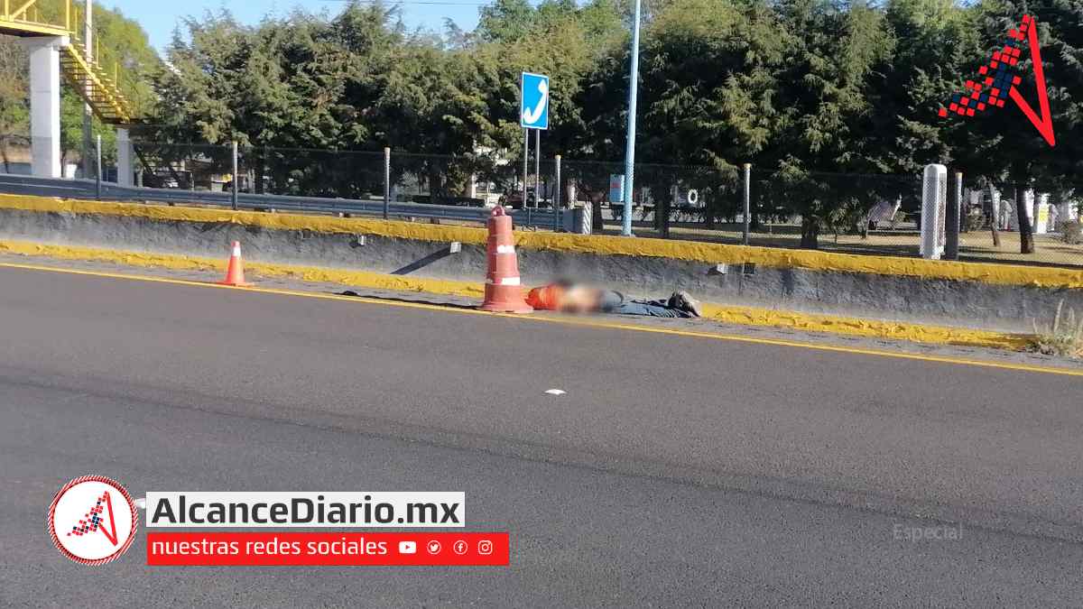 atropellado en la pista