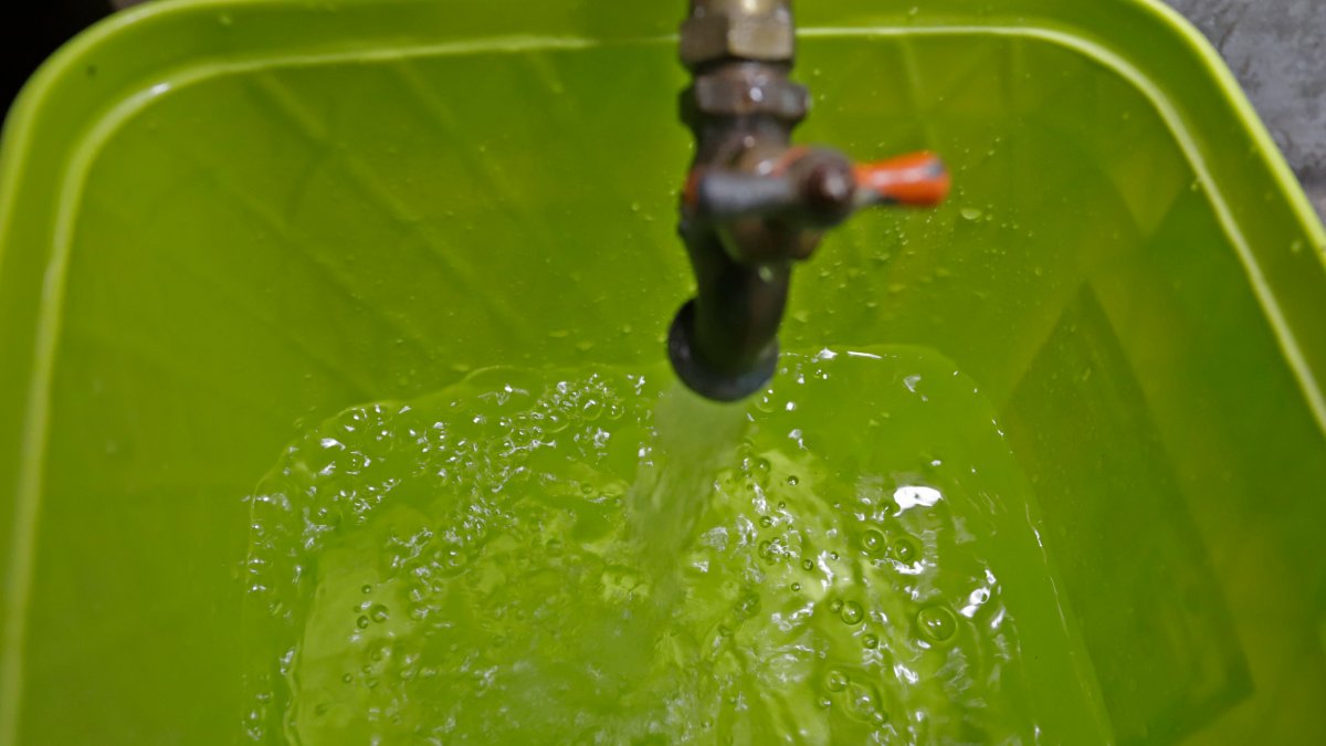 comites de agua en juntas auxiliares