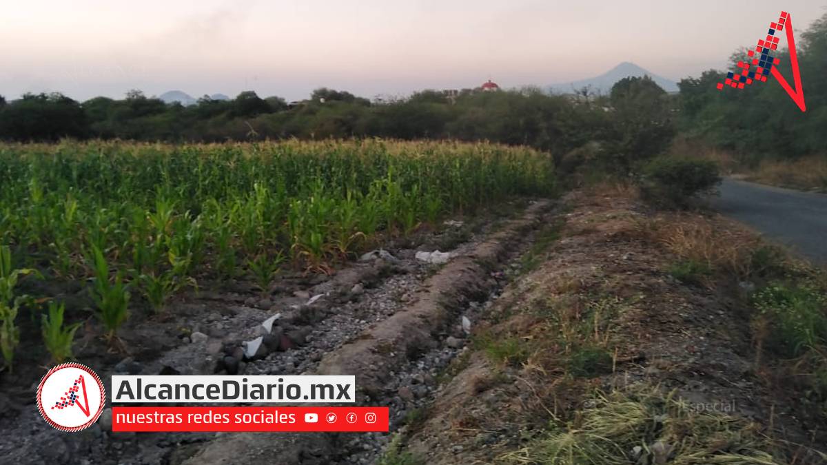 insumos agrícolas en Chietla