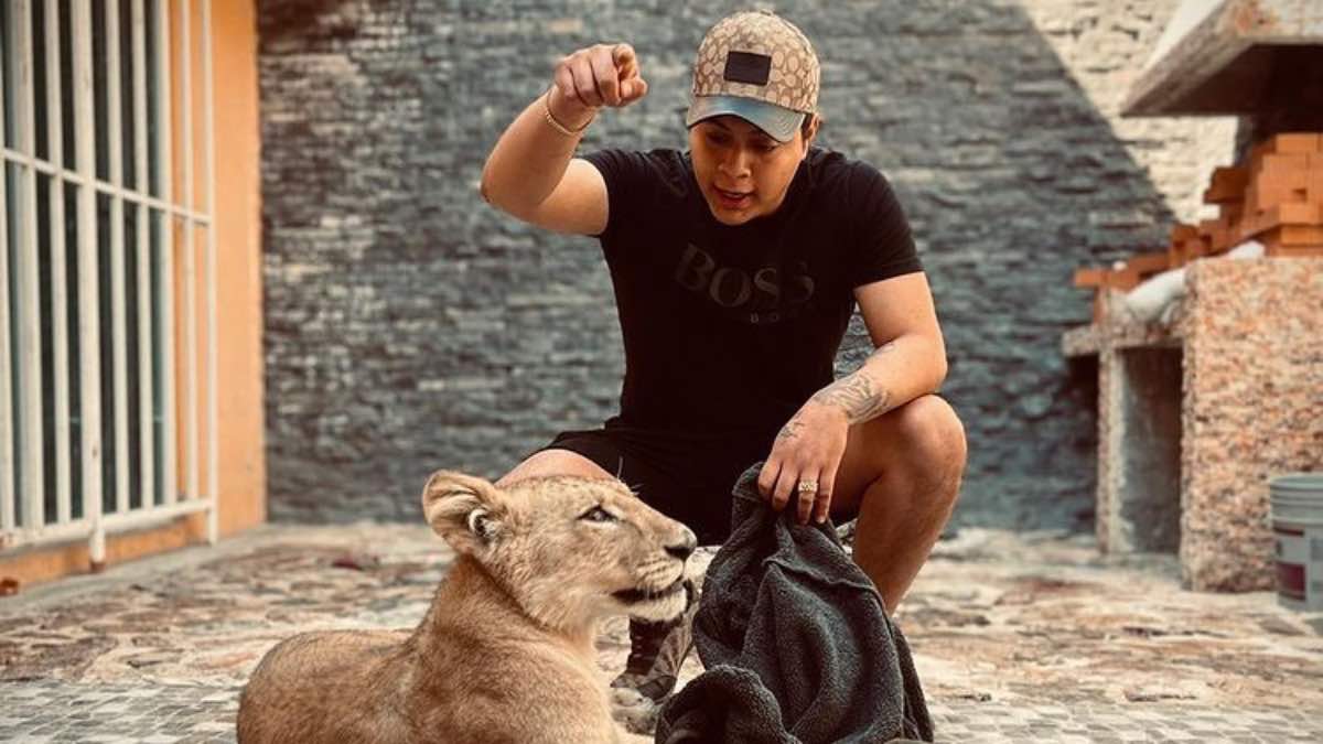Cría de león con hijo de edil de Amozoc