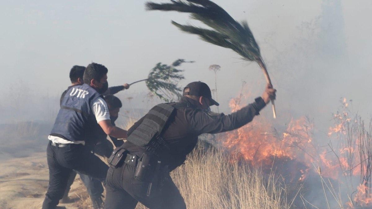 Incendio controlado Zapotecas