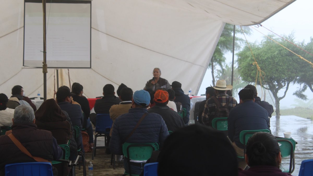 Movimiento Antorchista en Teziutlán Dánae Córdova Morán