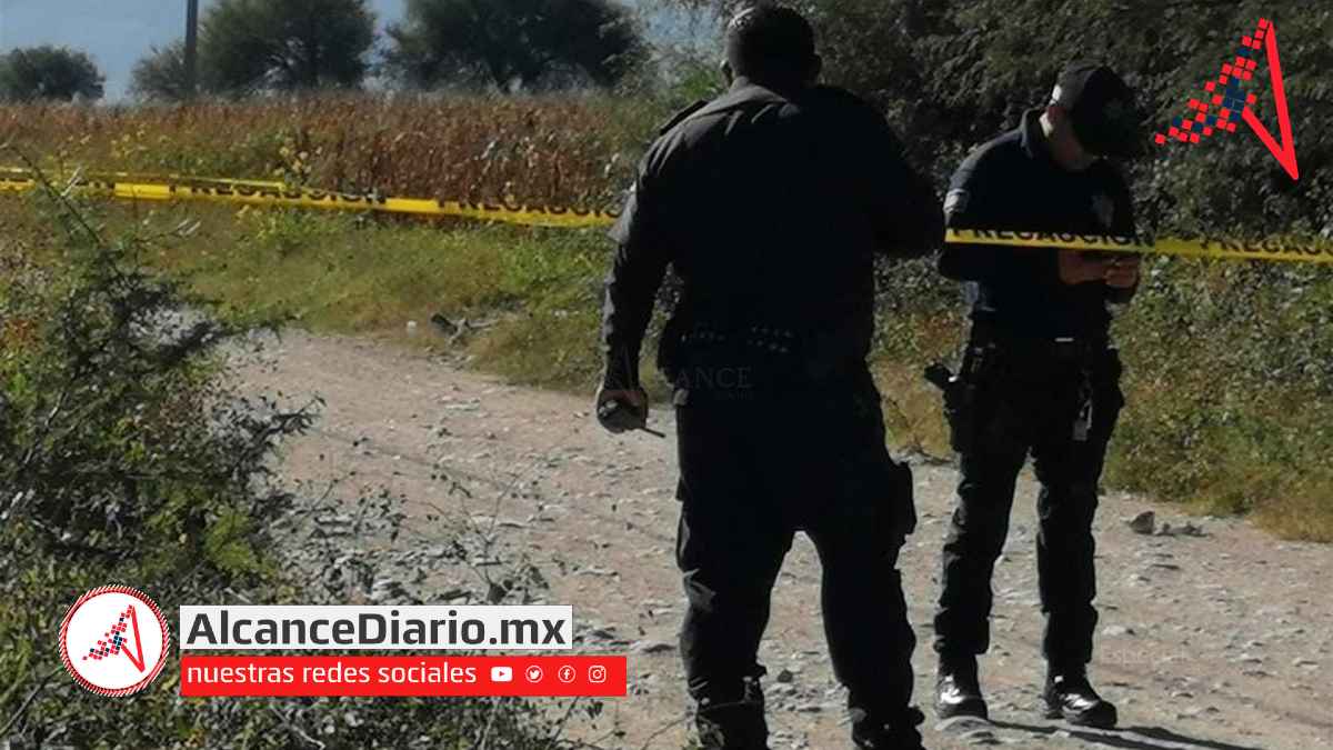 adulto mayor asesinado