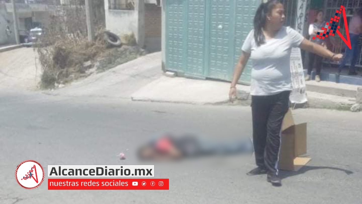 Atropellado por la ruta 10