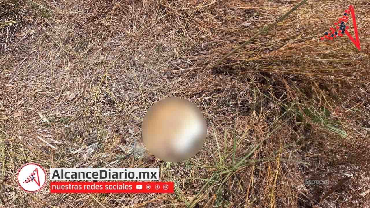 Cráneo Humano en San Andrés Cholula