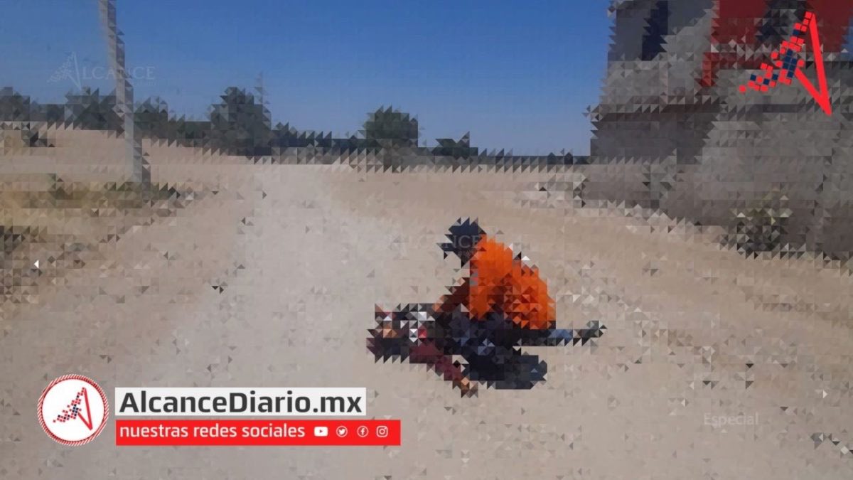 Ejecutado en Tecamachalco