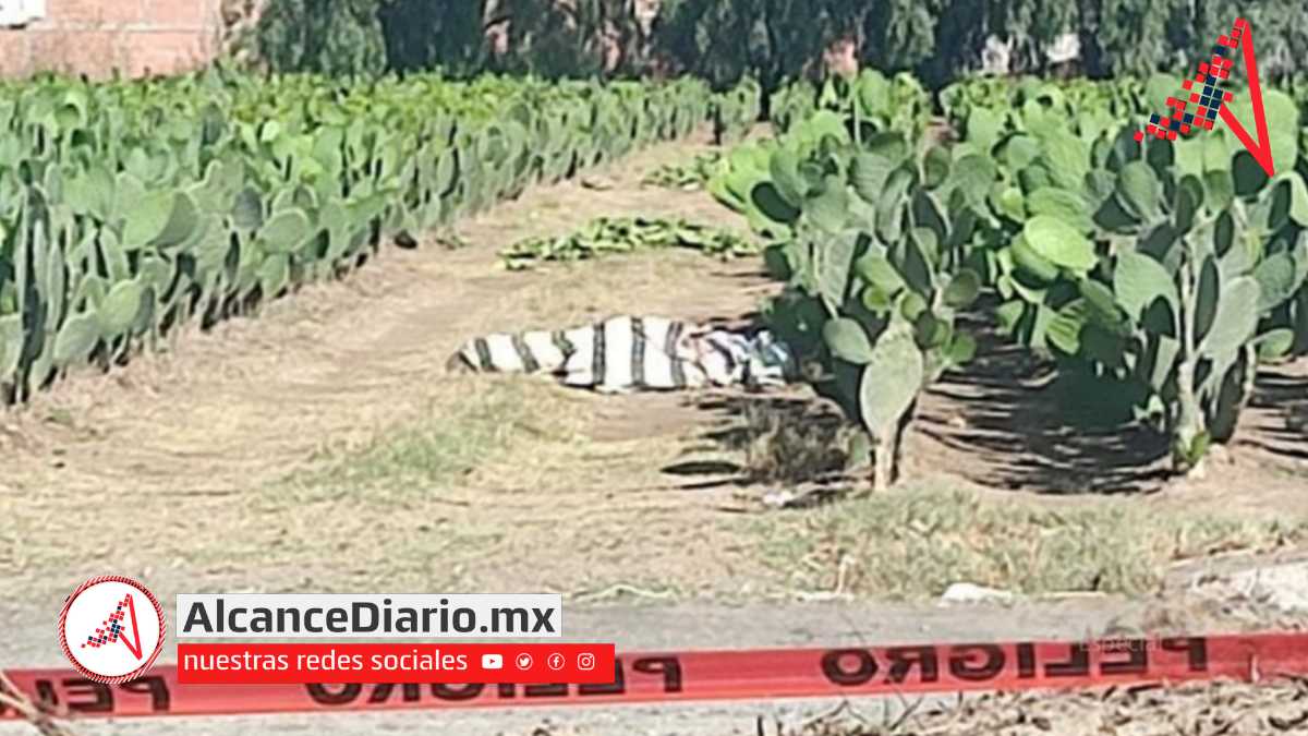 Encobijado Coronango