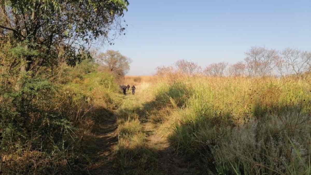 Muertos en Huaquechula