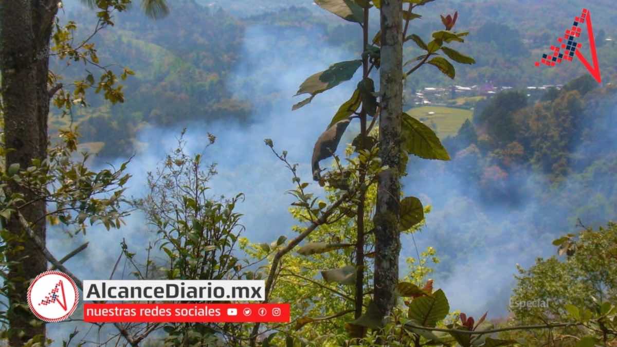 Incendio forestal en Teziutlán