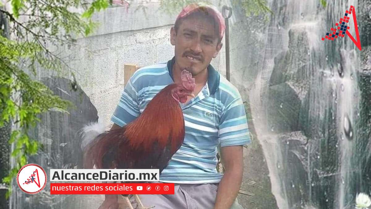 Valsequillo Xochitlán Todos Santos