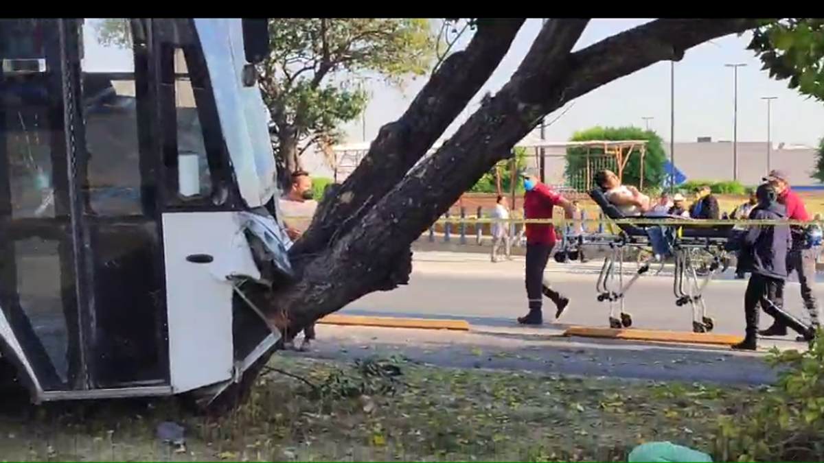 autobus se estampa en arbol bulevar norte