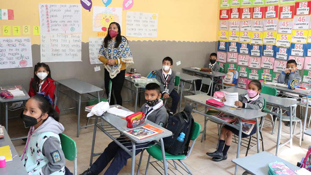 fases de aprendizaje SEP