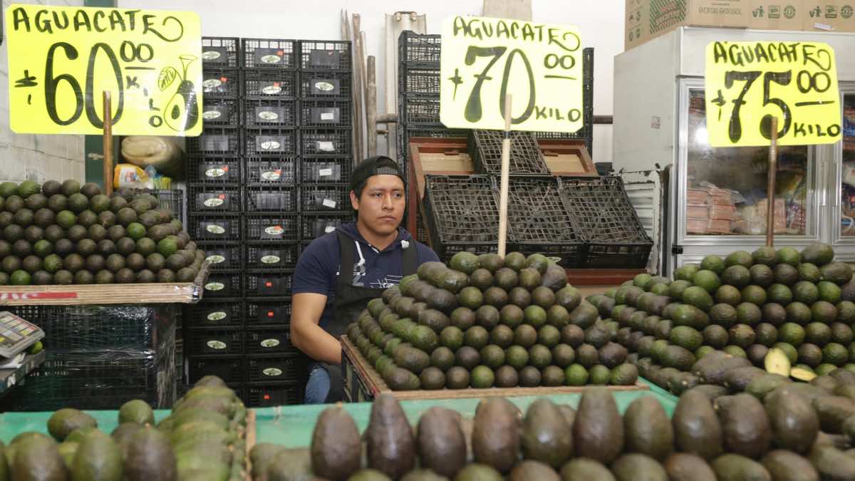 Aguacate poblano