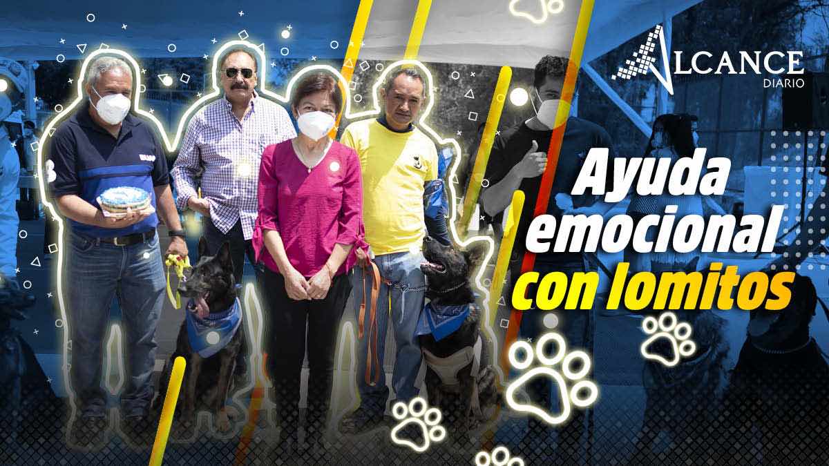 Ayuda emocional con lomitos