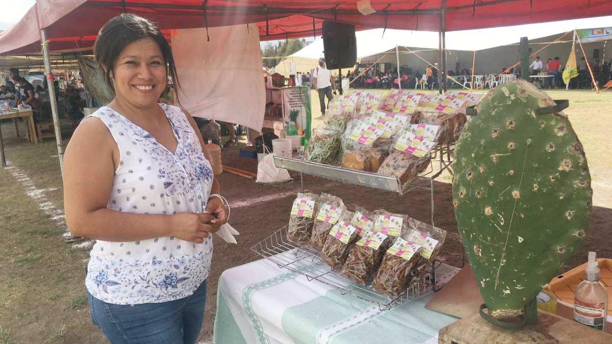 Feria del Nopal en Tlaxcalancingo, Cholula