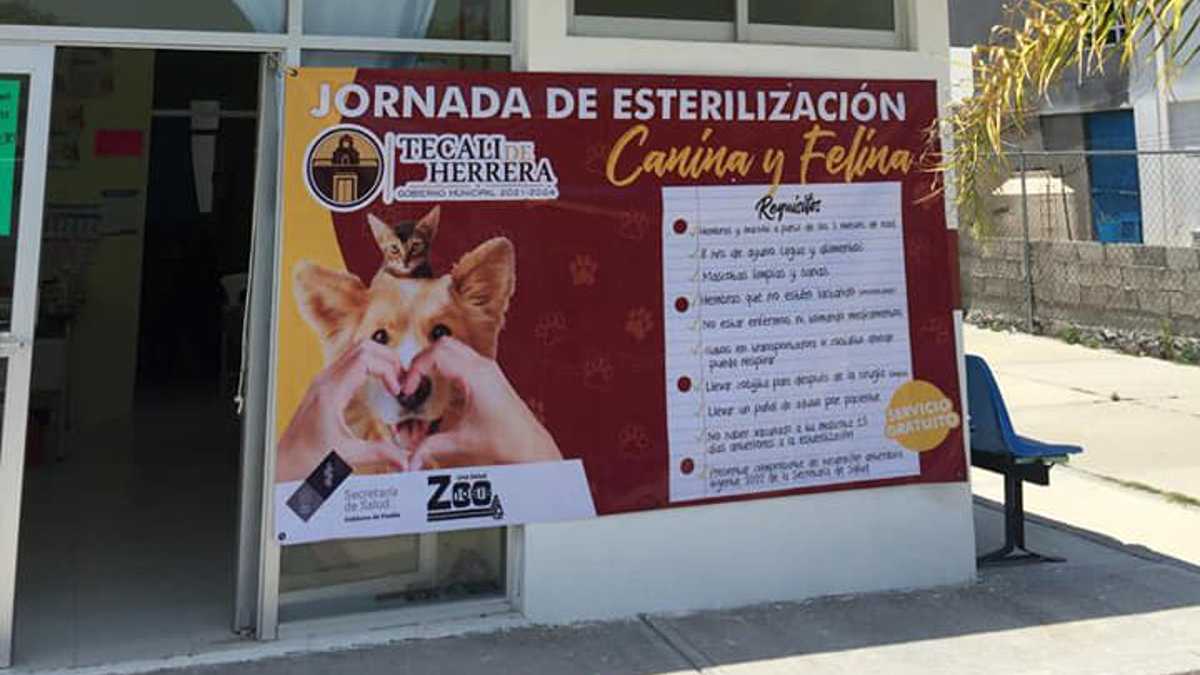 Jornada de esterilización