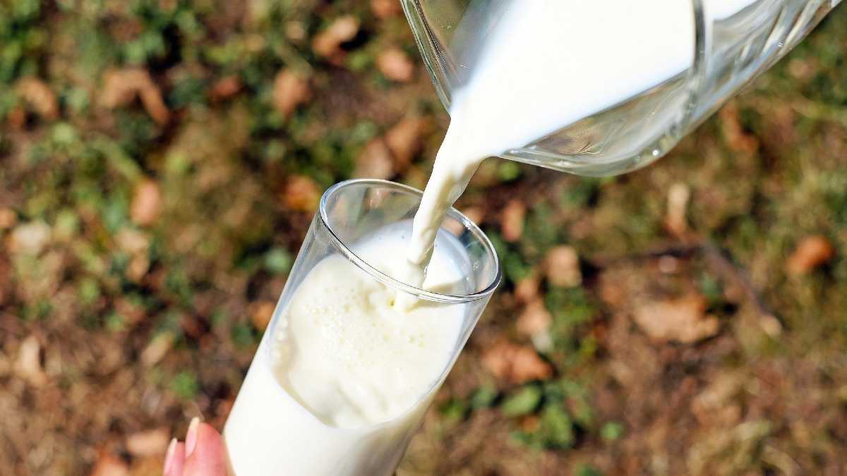 Leche