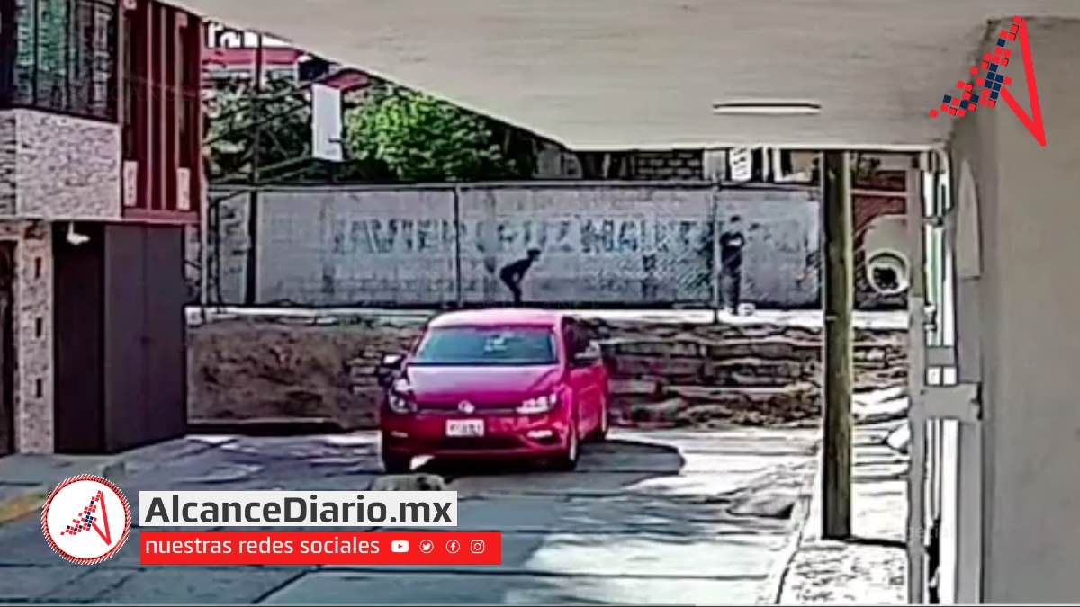 Perro atropellado en San Jerónimo Caleras