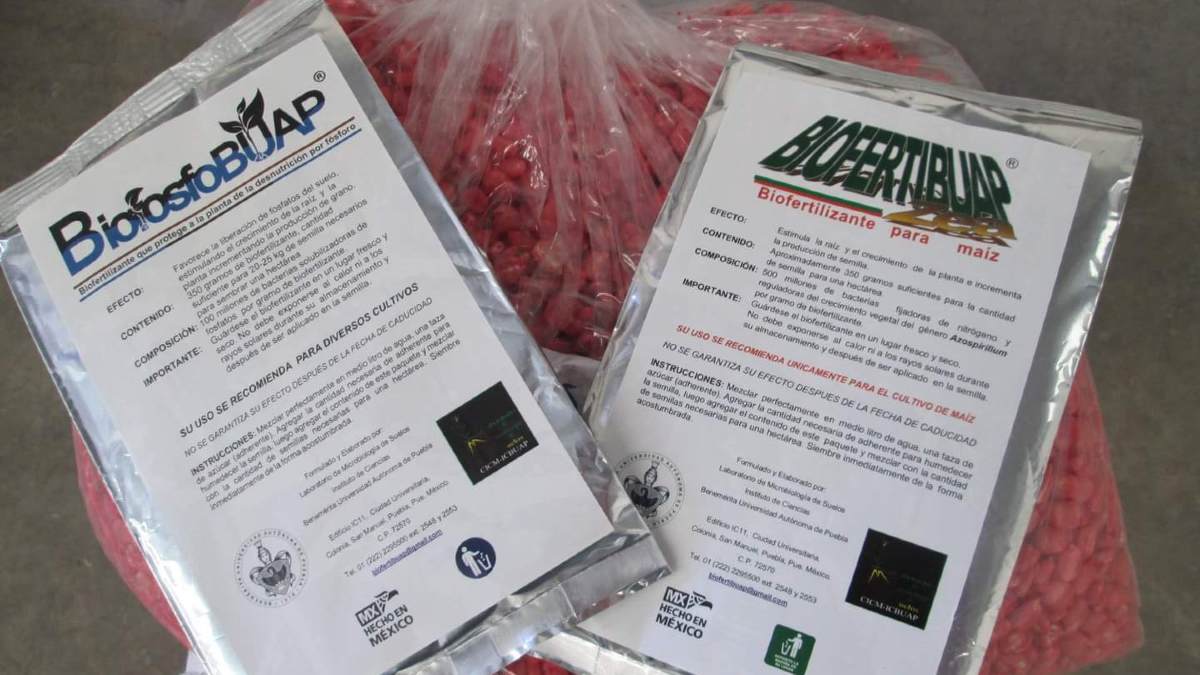 biofertilizante buap
