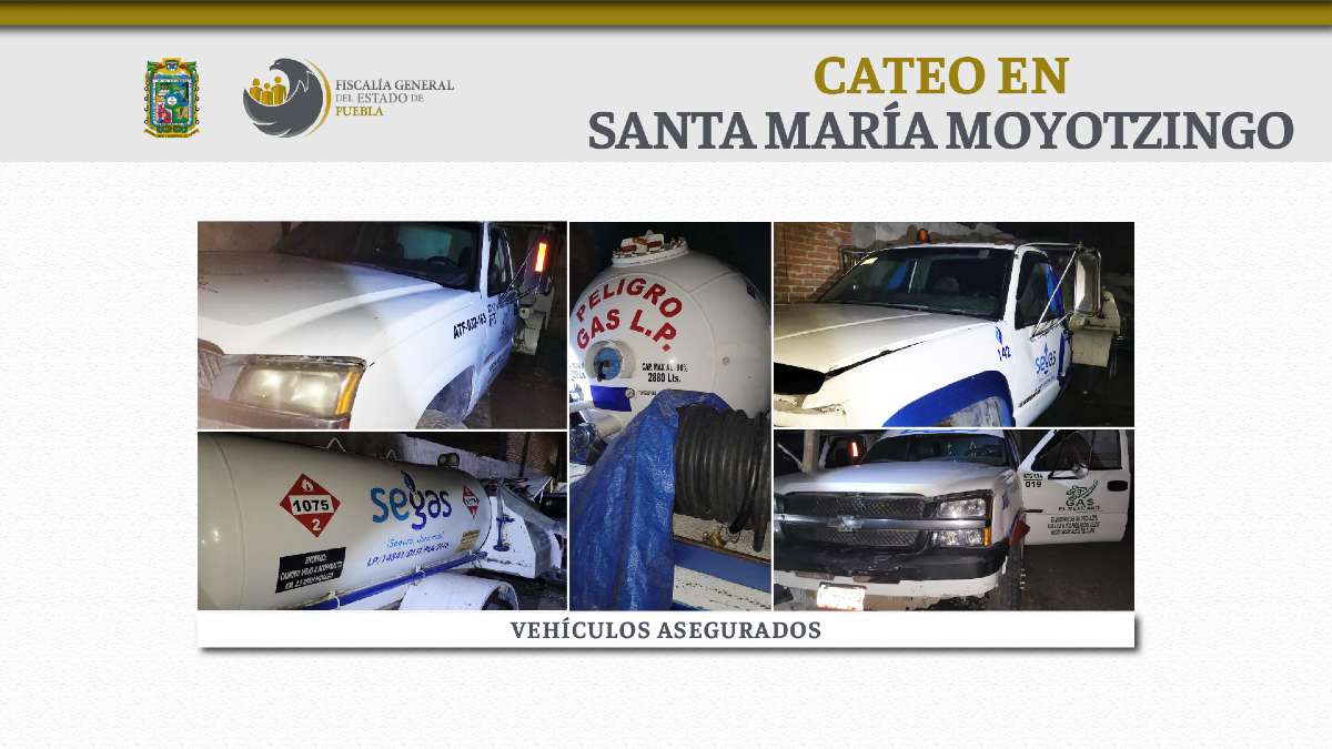 cateo moyotzingo