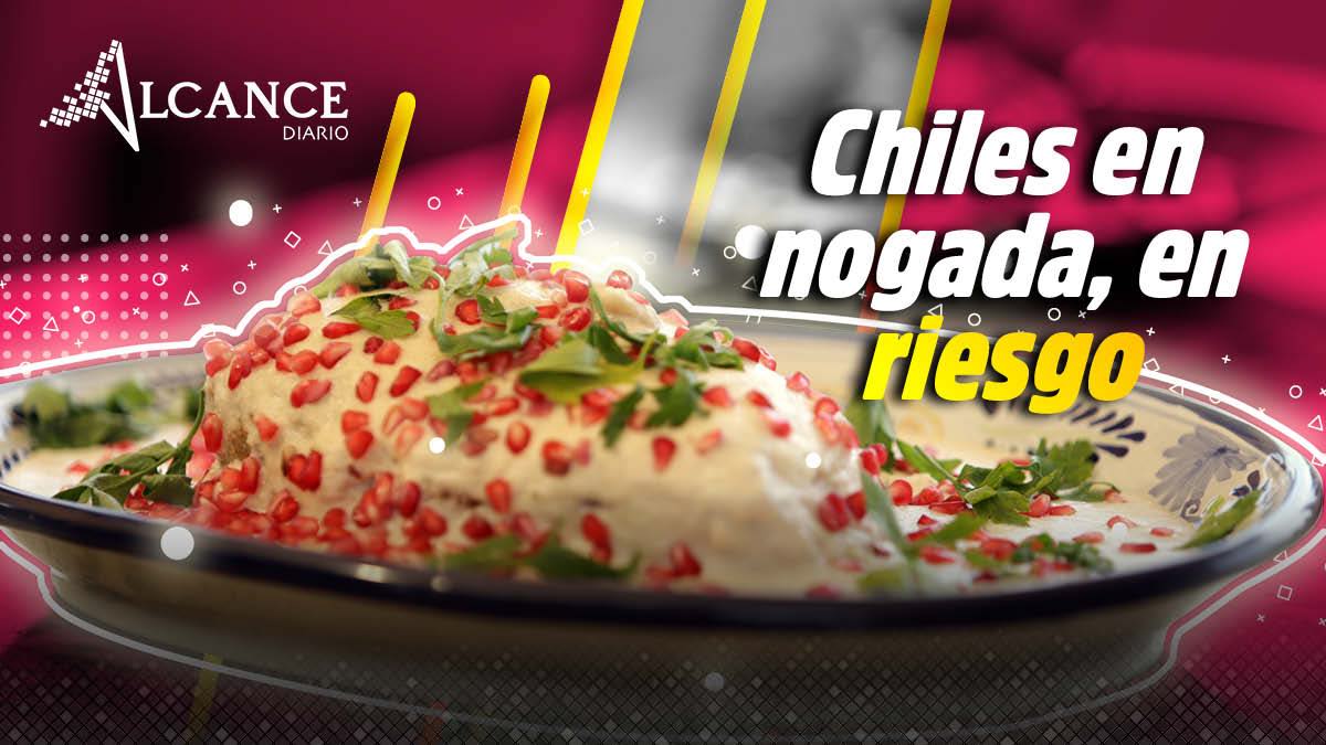 Chiles en nogada, en riesgo