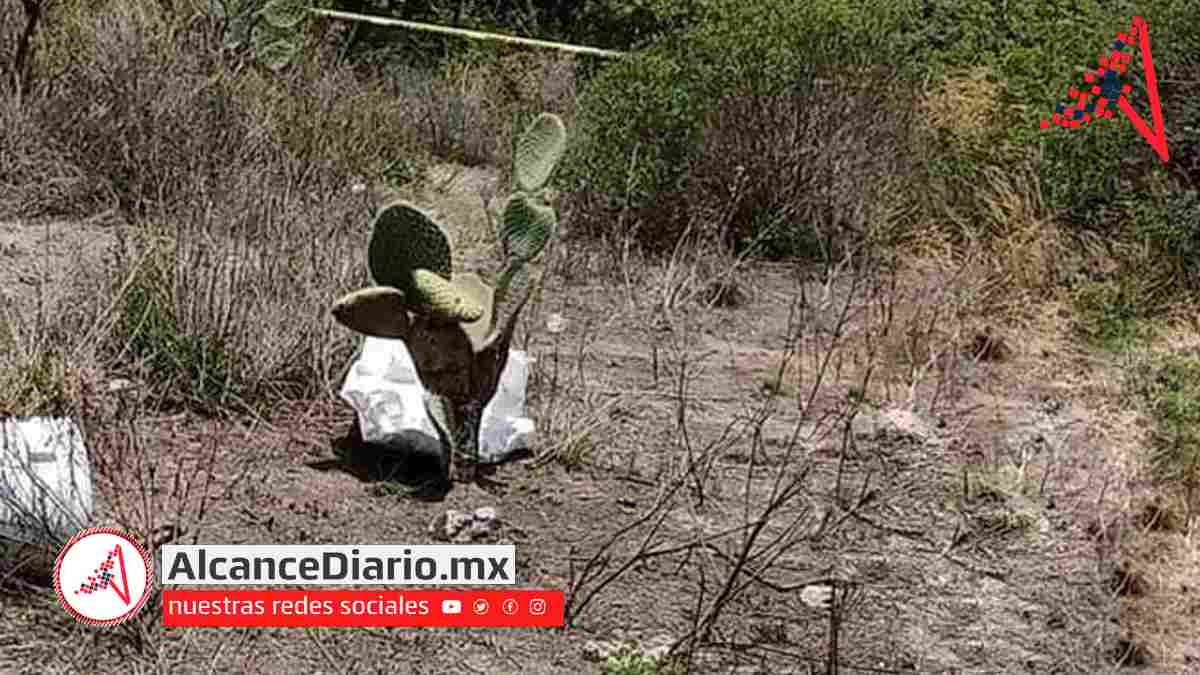 Embolsados en Tlapanalá