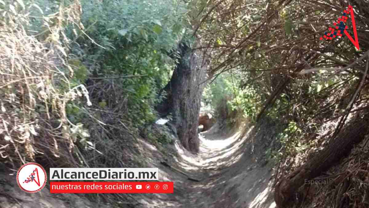 Muerto en Hueyotlipan