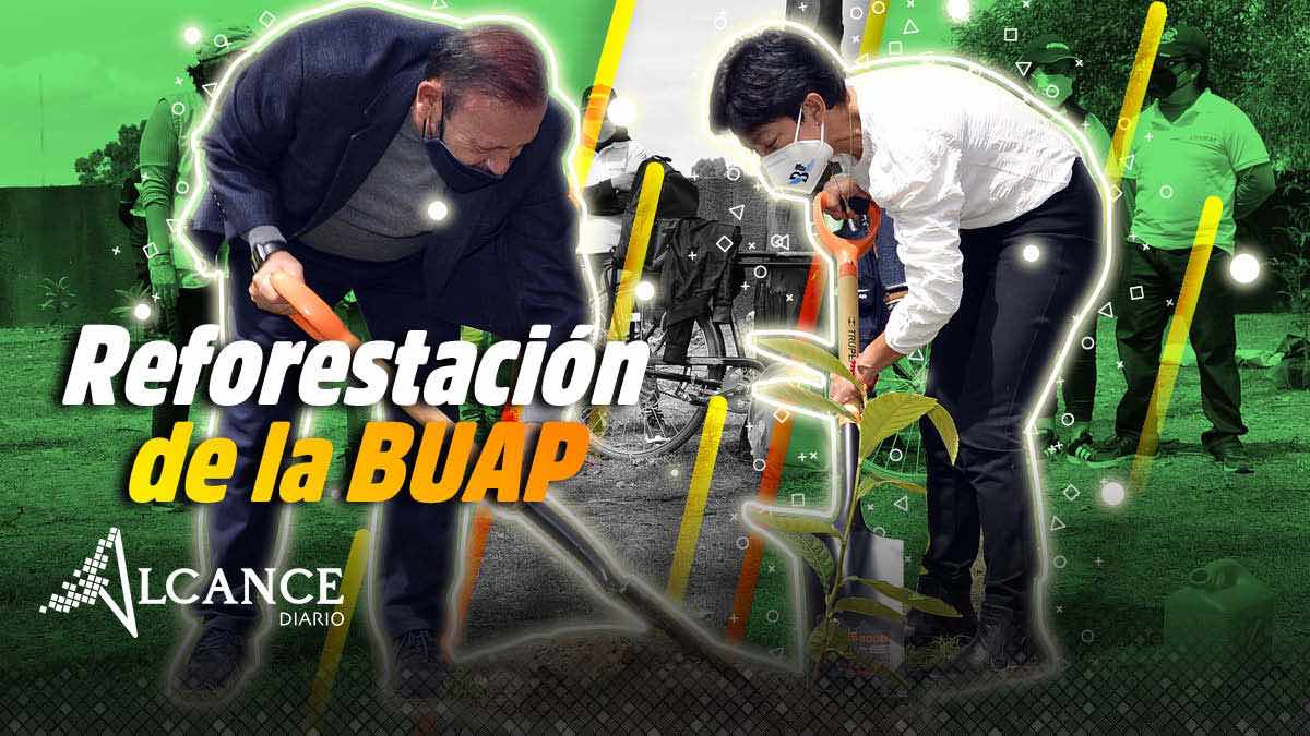 Reforestación de la BUAP