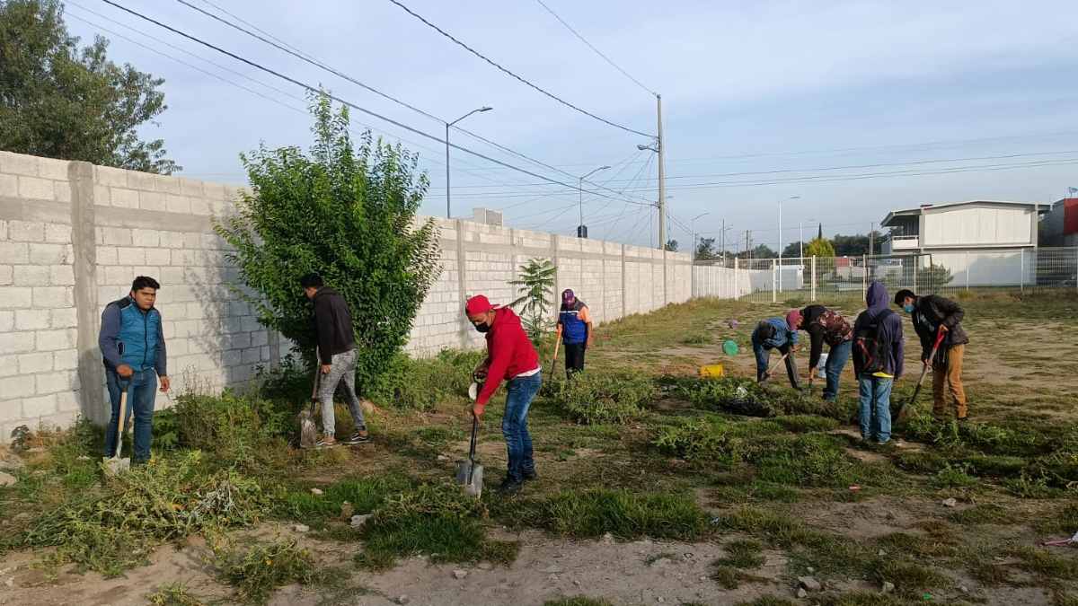 Reforestación en EST de Puebla