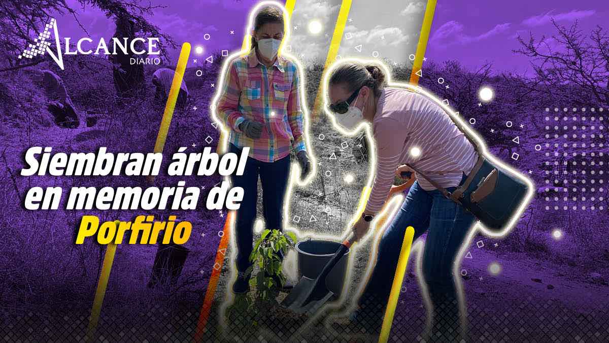 Siembran árbol en memoria de Porfirio