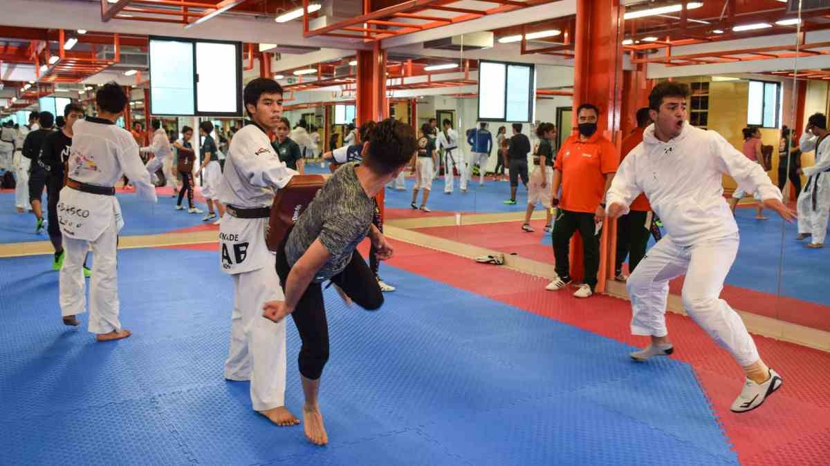 Taekwondoines Udlap