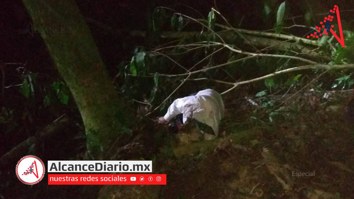 fallece aplastado por arbol en hueytamalco