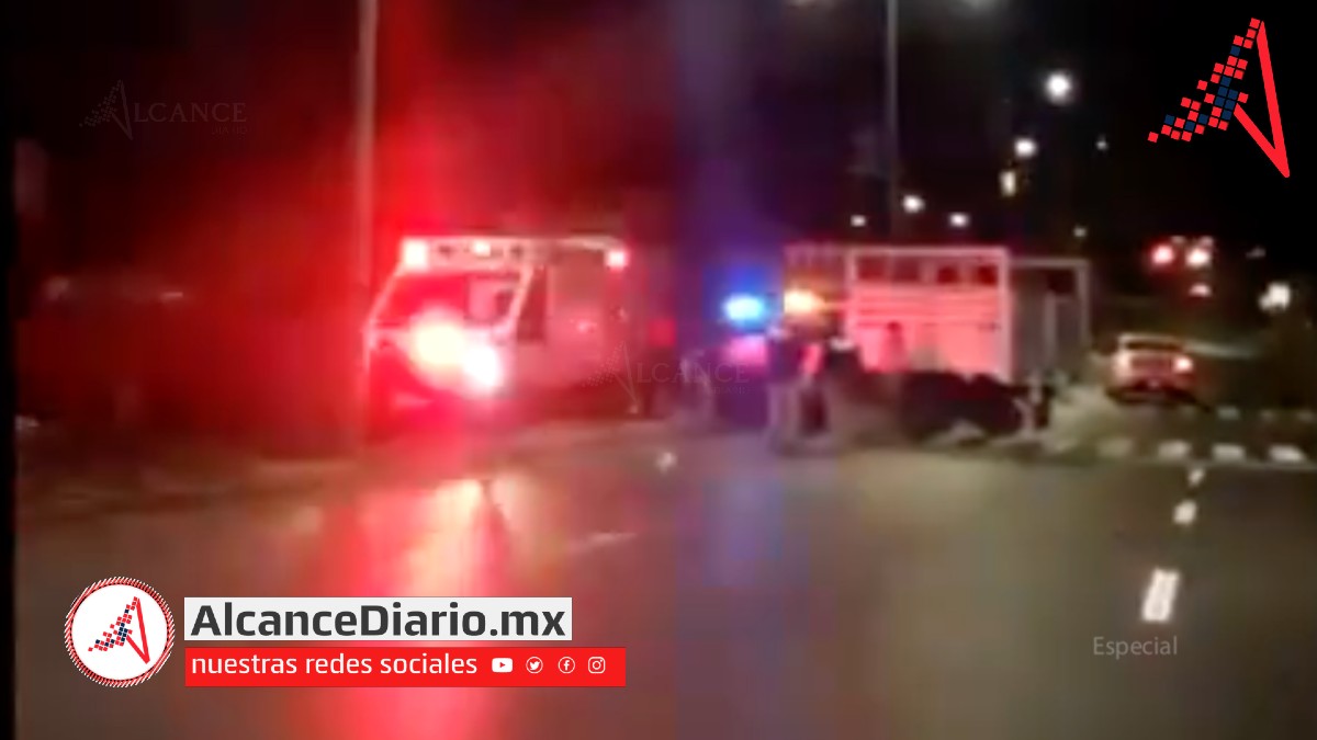Accidentada madrugada de domingo