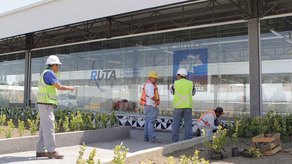 Terminal RUTA