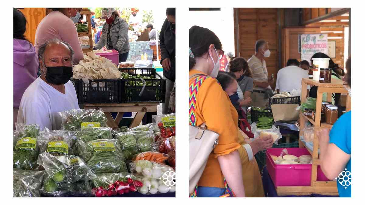 Tianguis Alternativo de Puebla