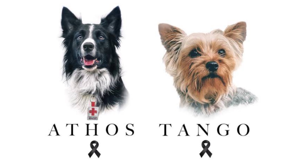 Athos y Tango