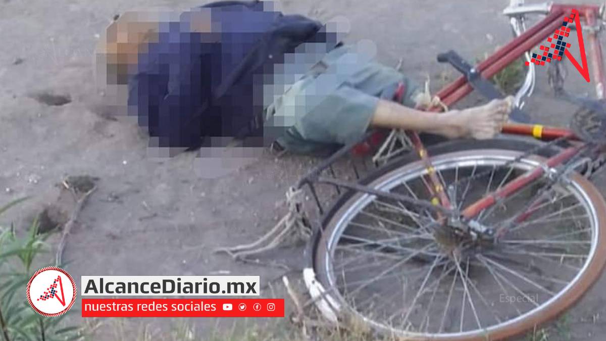 Ciclista atropellado en Palmar de Bravo