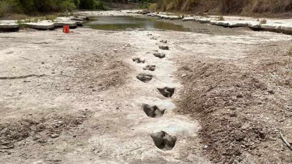Huellas de dinosaurios