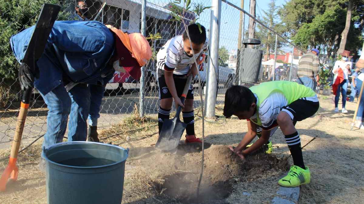 Plantación de nuevos árboles en Puebla capital