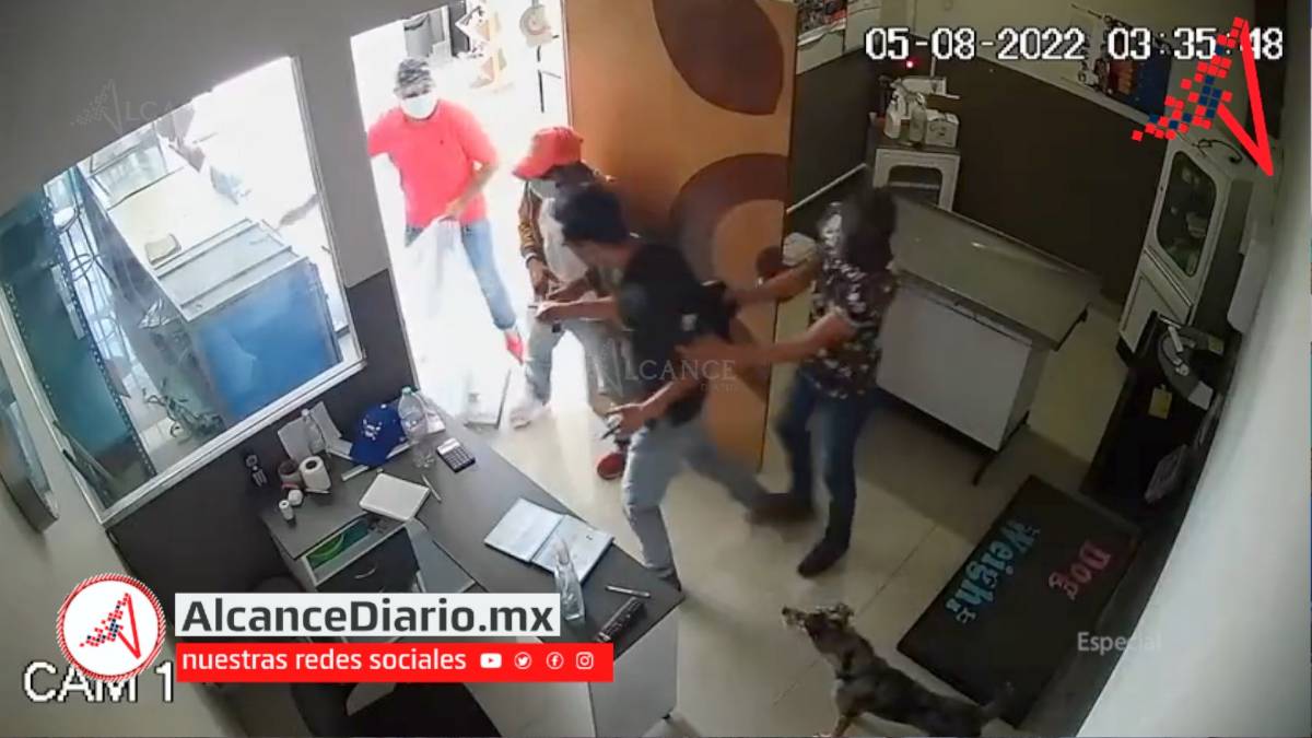 Robo veterinaria Cuautlancingo