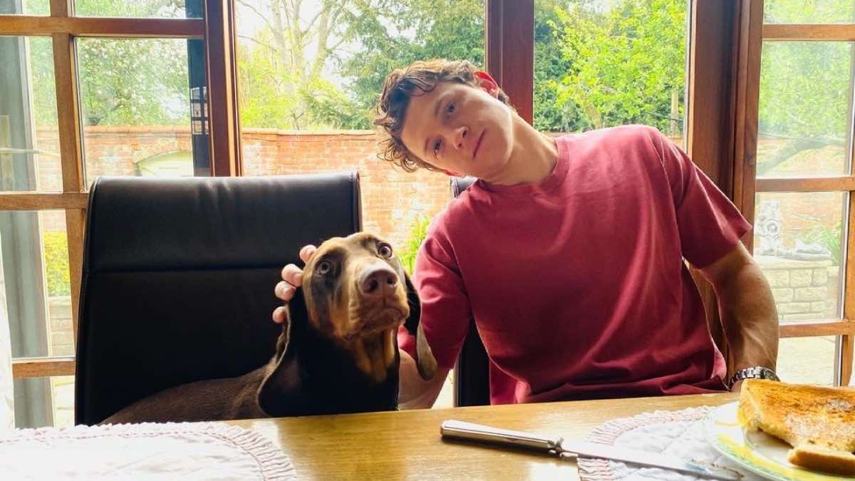 Tom Holland