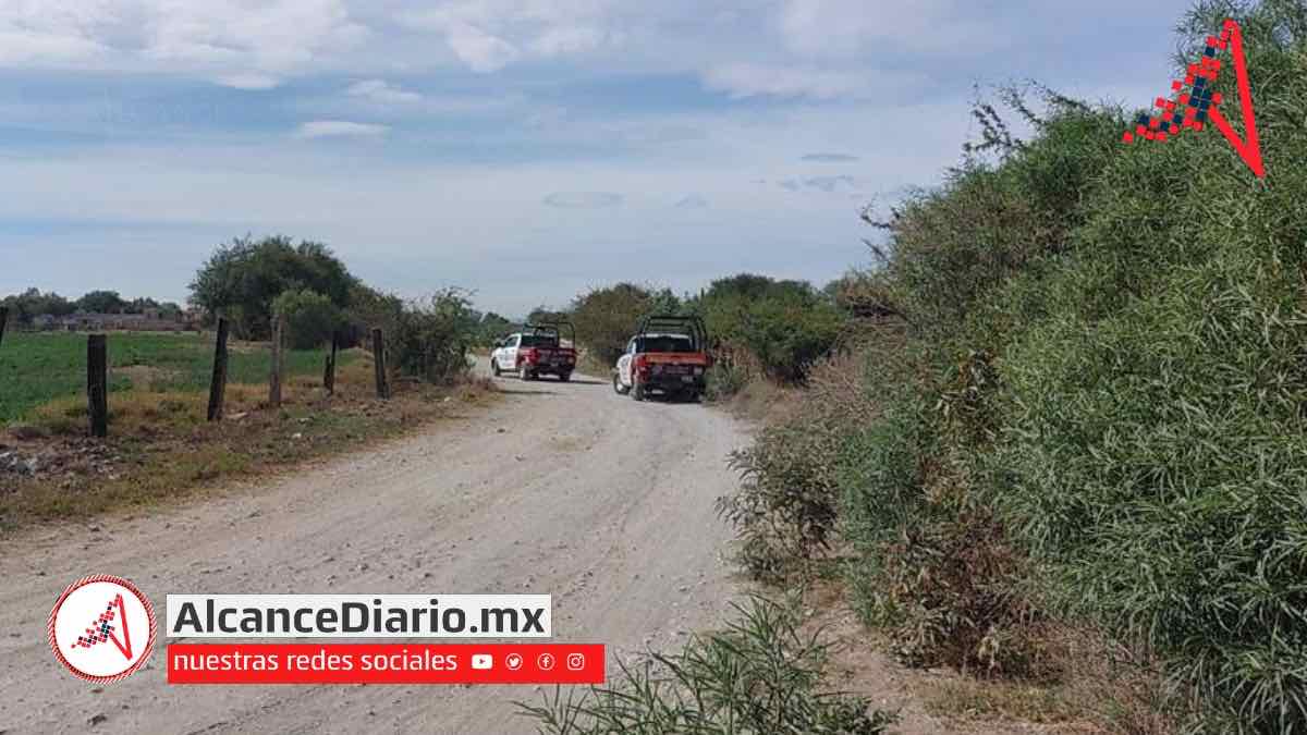 Hombre asesinado a golpes
